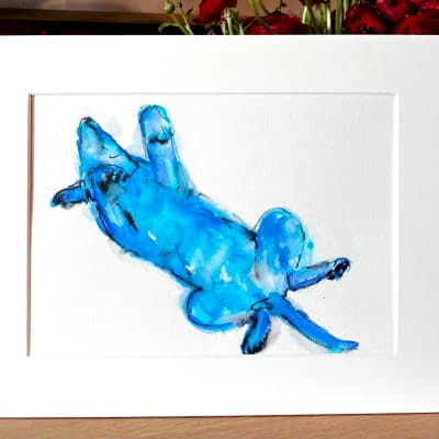 Blu - cadavere
